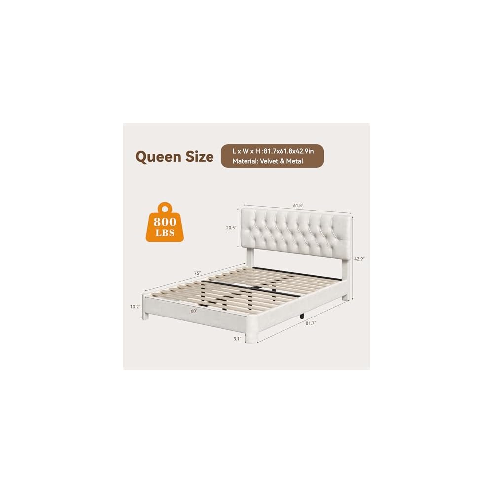 Queen Size Bed Frame with Headboard, Luxury Velvet Fabric Upholstered Bed frame with Button Tufted Design, Strong Wooden Slats Support - Low & Sturdy, Noise-Free, No Box Spring, Easy Assembly, Beige