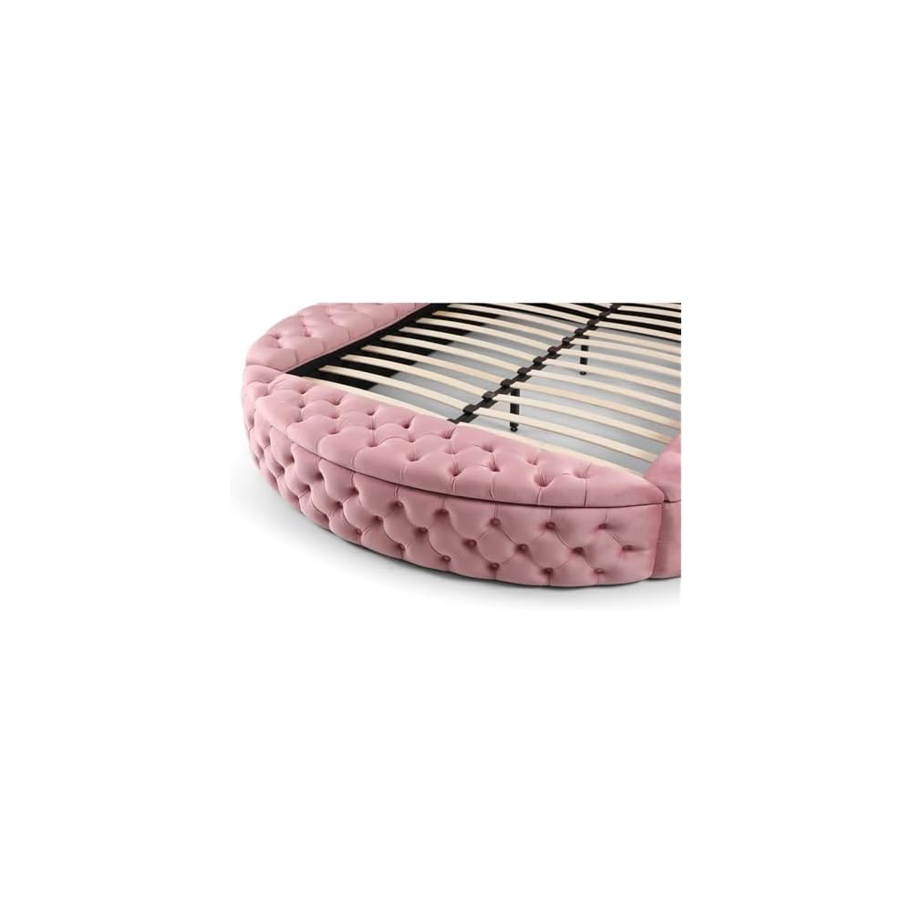 Elizabeth 91 x 101 Velvet Upholstered Queen Bed in Pink