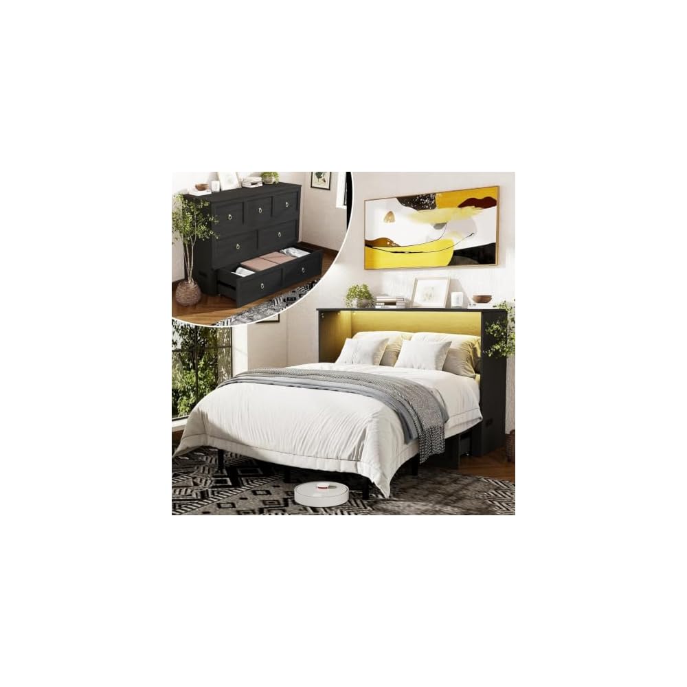 Farmhouse Queen Murphy Bed with Storage Drawer,Cabinet Bed with LED Lights & Charging Station, Space Saving Wall Bed for Small Bedroom/Home Office, Noise Free & Easy Assembly, Black