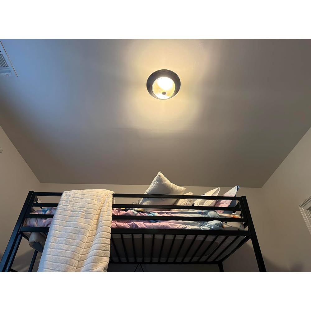 Loft Bed Twin Size with Ladder and Guardrail,Black