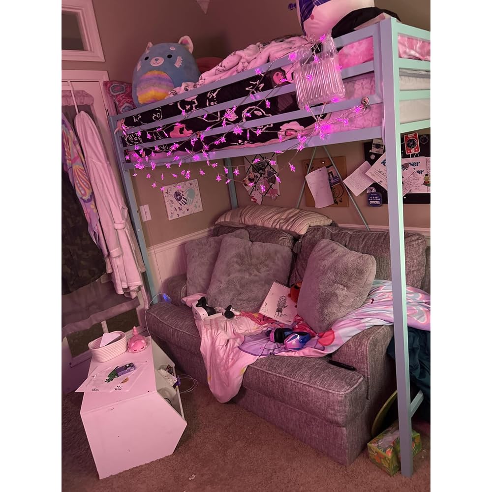 Loft Bed Twin Size with Ladder and Guardrail,Black